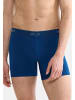Sloggi Long Short / Pant SLG Base in Marine / charcoal