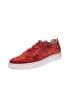 COXX BORBA Sneaker low MROCHEDO  in Rot