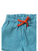 Little Green Radicals By The Sea Shorts in Blau