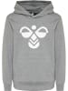 Hummel Hummel Kapuzenpullover Hmlcuatro Lebensstil Kinder in MEDIUM MELANGE