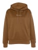 Champion Hoodie Hooded Sweatshirt in Braun