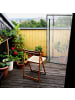 relaxdays 3 x Tomatengewächshaus in Transparent - (B)100 x (H)150 x (T)50 cm