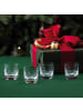 Villeroy & Boch 4er Set Schnapsgläser Toy's Delight 40 ml transparent in transparent