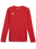 Puma Sportshirt "TeamGoal Longsleeve Jersey" in Rot