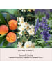 Laura Ashley Laura Ashley Duftanhänger Lotus & Orchid