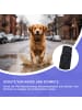 Reichstadt Reichstadt  RS Pets Führleine PVC 25RSP086 Black 5m
