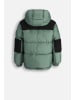 Coccodrillo Winterjacke in grün