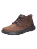 Skechers Sneaker ARCH FIT in braun