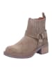 Apple of Eden Stiefeletten/Boot in taupe