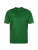 Puma Trainingsshirt TeamCUP in grün