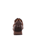 Gabor Sneaker Low in chocolate