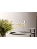 RIEDEL Glas 6er Set Champagner Weingläser Veloce 327 ml in transparent