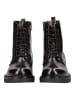 Nero Giardini Stiefelette in Braun