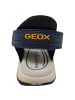 Geox Sandale Borealis in Blau