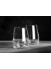 ZIEHER 2er Set Wassergläser Vision in 480 ml in transparent