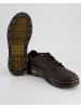 Dr. Martens Klassische Schnürschuhe in Braun