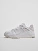 Puma Puma Turnschuhe in puma white/nimbus cloud