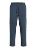 Jack & Jones Hose mit Regular Fit in Outer Space