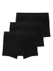 Haasis Bodywear 3er-Set: Pants in schwarz