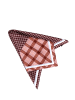 Wittchen Scarf in Brown