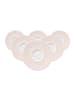 Seltmann Weiden 6er Set Untertassen Life Fashion in ø 16,5 cm in Posh Rose