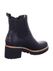 PANAMA JACK Stiefel in schwarz
