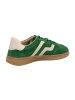 Gant Sneaker Low in Grün