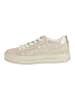 ara Sneaker in Beige/Gold