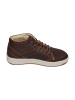Hub Sneaker High KINGSTON 2.1 WOOL in braun
