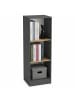 VCM  Bücherregal Dilos 114 x 38 cm für Aktenordner in Anthrazit / Honig-Eiche