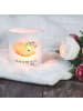 Mr. & Mrs. Panda Deko Windlicht Wüstenfuchs Blumen mit Spruch in Transparent