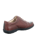 Finn Comfort Komfort Schnürschuhe in Braun