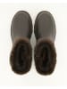 BLAUER USA Winterstiefeletten in Braun