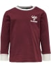 Hummel T-Shirt Hmlmauilino Kinder in CHOCOLATE TRUFFLE