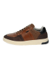 Bullboxer Sneaker in Cognac