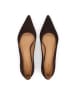 Kazar Pumps in Braun