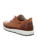 Pikolinos Sportliche Schnürschuhe in Braun