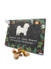 Mr. & Mrs. Panda Hunde Adventskalender Havaneser Moment mit Spruch in Kreidetafel