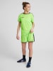 Hummel Hummel Poly Kurze Hose Hmlauthentic Multisport Damen Leichte Design Feuchtigkeitsabsorbierenden in GREEN GECKO