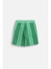 Coccodrillo Kurze Baumwollshorts in grün