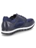 Gabor Low Sneaker in Blau