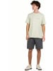 Reell Short "Reflex Lazy Short" in Grau