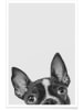 Juniqe Poster "French Bulldog II" in Grau & Schwarz