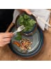like. by Villeroy & Boch 6er Set Basic-Set Crafted in Breeze