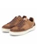 Bullboxer Low Sneaker in braun