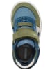Geox Sneaker in Blau/Braun