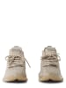 Steve Madden Sneaker Maxout in beige