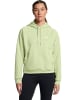 Under Armour Hoodie "Ua Armour Flc Pro Hdy" in Grün