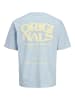 JACK & JONES Junior T-Shirt JORTAVIRA TYPE BACK TEE JNR in skyway