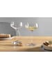 LEONARDO 6er Set Champagnerschalen Puccini in Transparent 350 ml in transparent